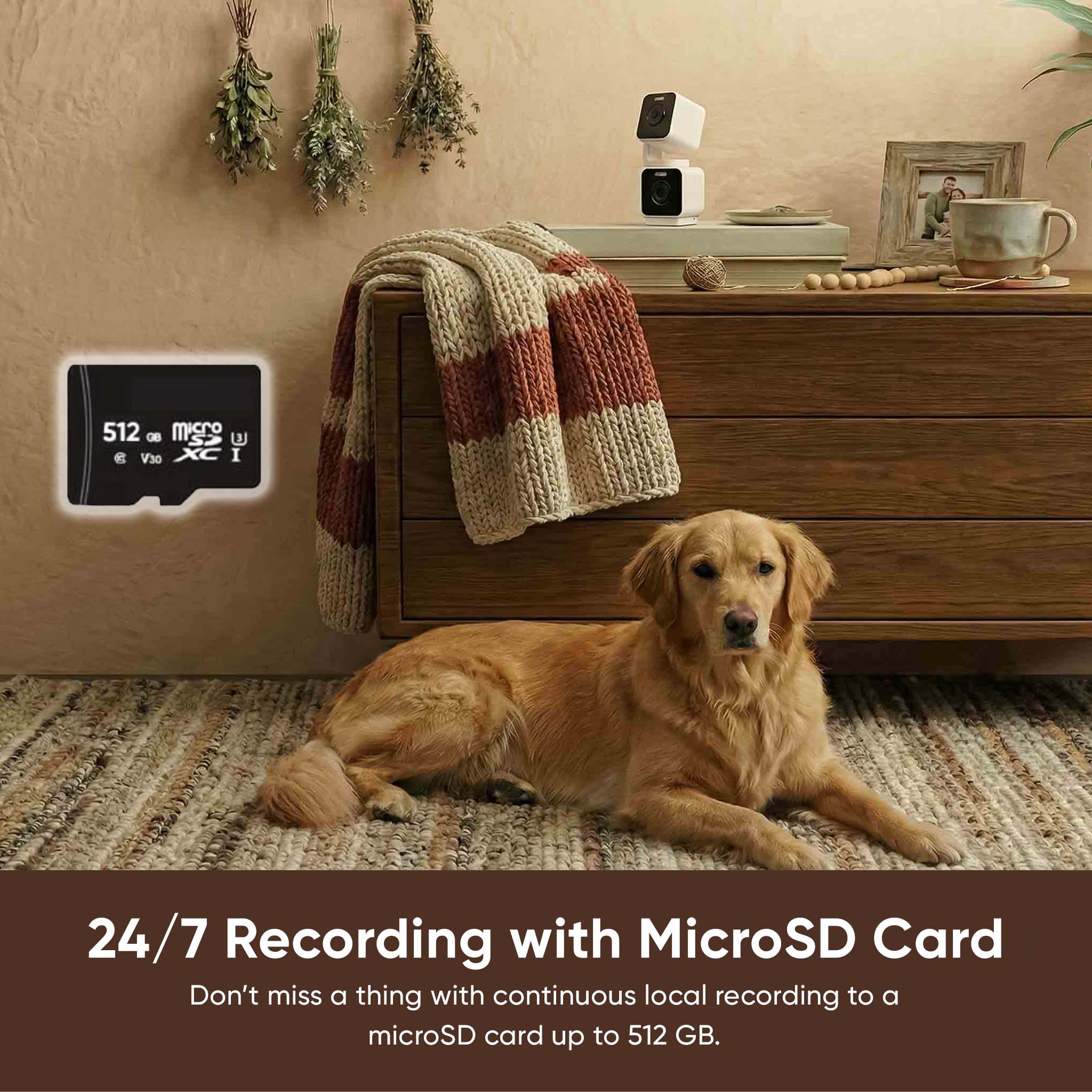 Pet Monitoring Plus - Image 7