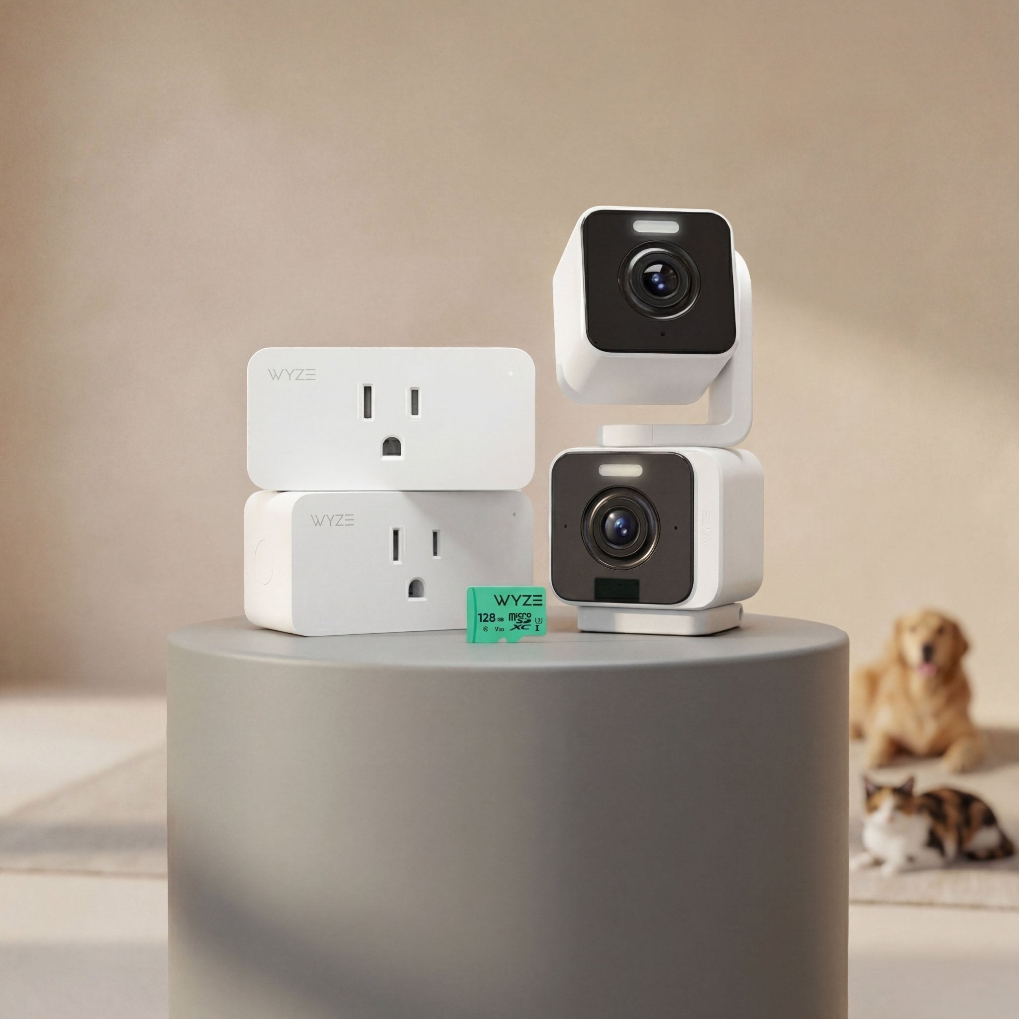 Pet Monitoring Plus - Image 12