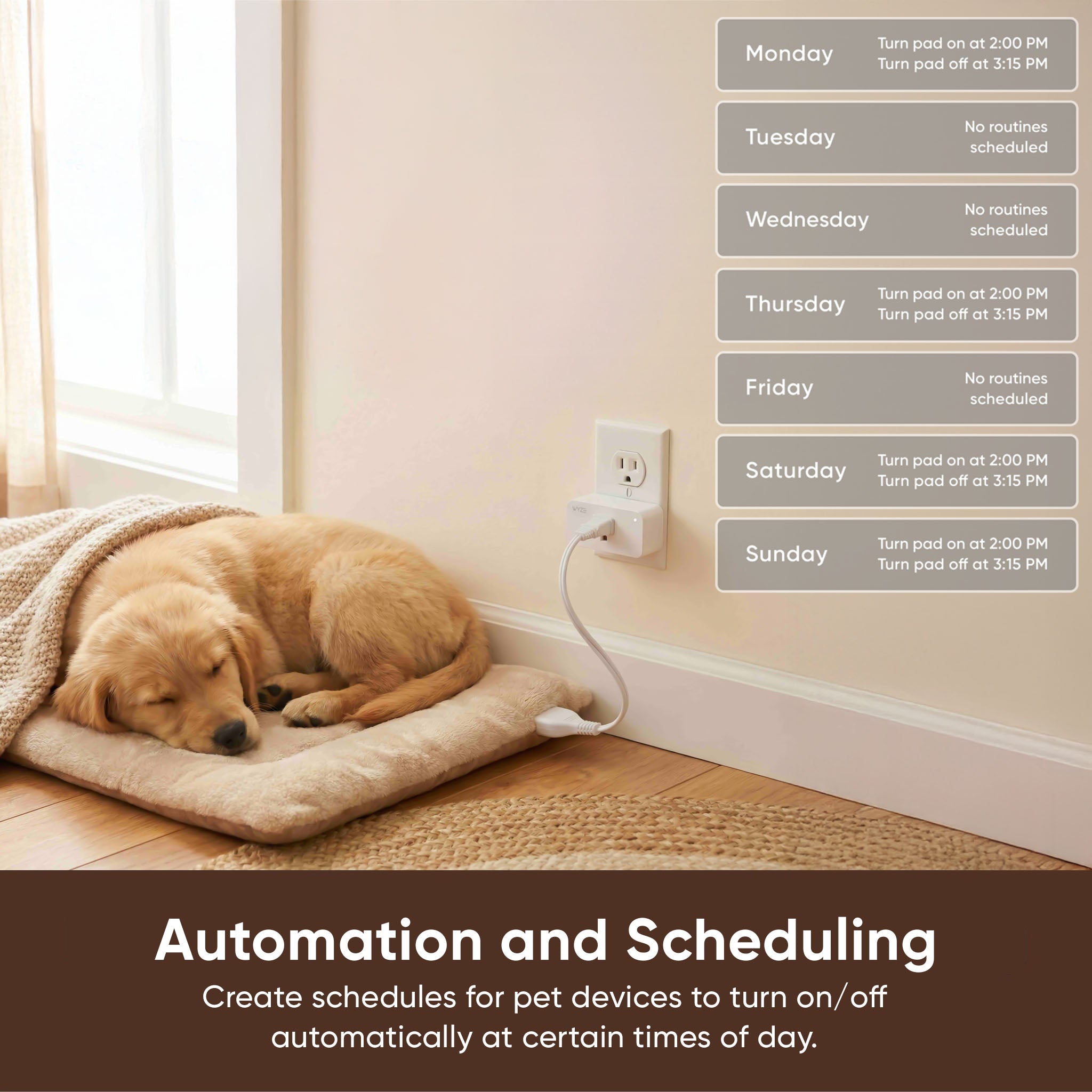 Pet Monitoring Plus - Image 9