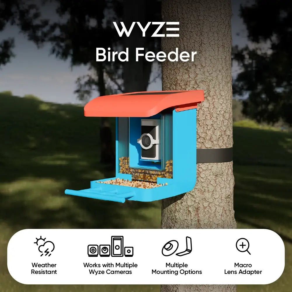 Alternative view of Wyze Bird Feeder