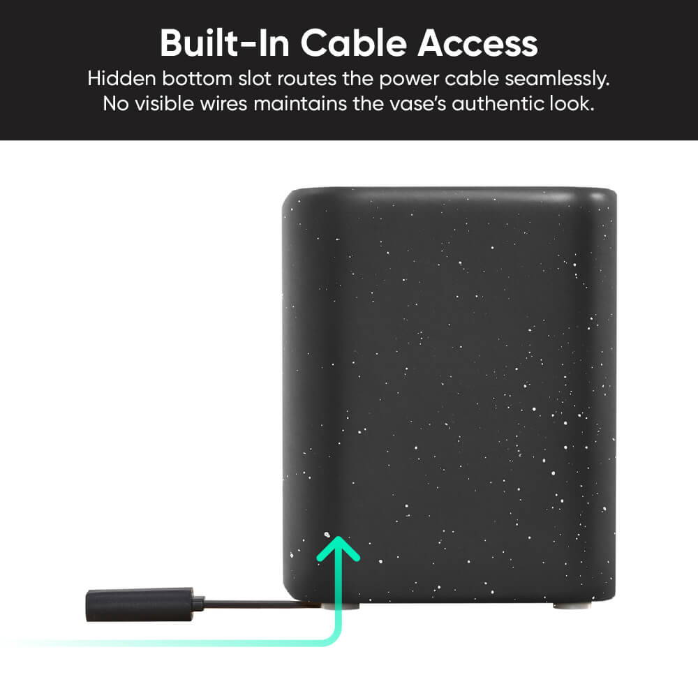 Wyze Cam Vase - Image 6