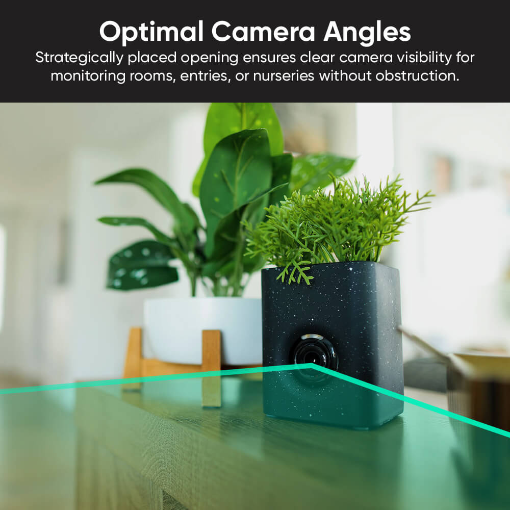 Wyze Cam Vase - Image 7